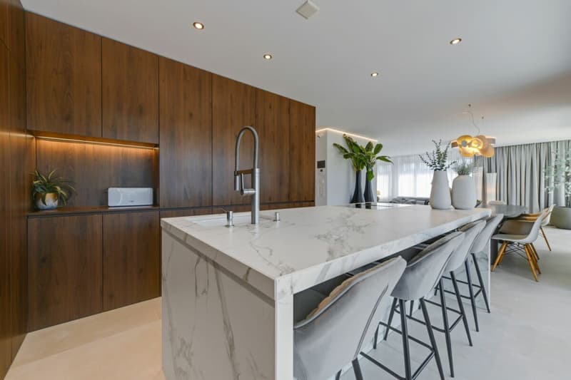 Un foyer au-dessus du reste - appartement penthouse exclusif avec intimité (7)
