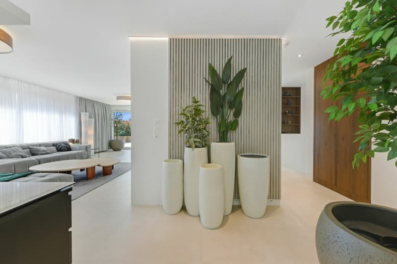 Un foyer au-dessus du reste - appartement penthouse exclusif avec intimité (9)