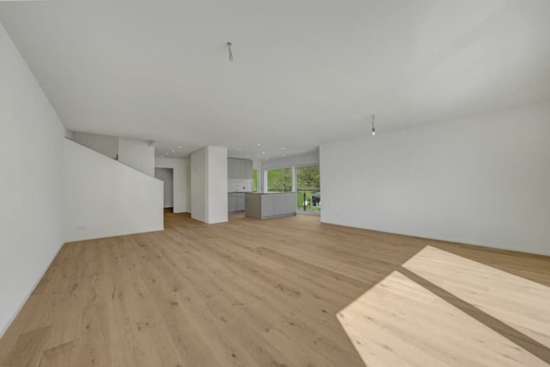 Maison mitoyenne moderne dans un environnement verdoyant avec vue sur Säntis - prête à être occupée (4)