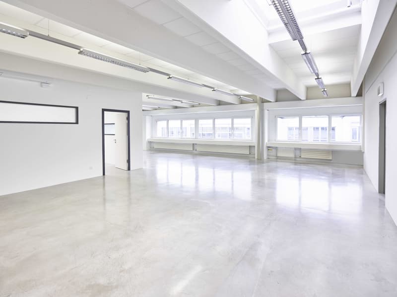 Office space on 240m2 - fully equipped and air-conditioned (5)