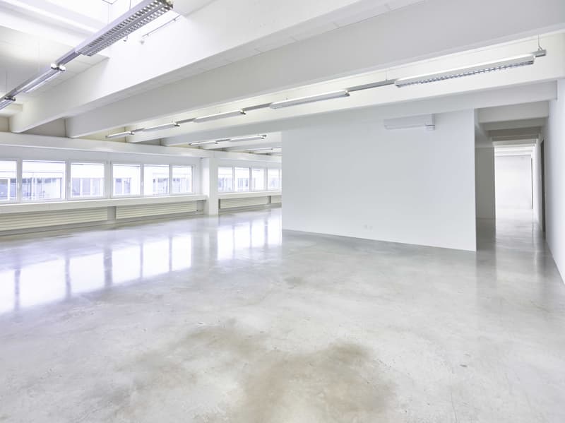 Office space on 240m2 - fully equipped and air-conditioned (4)