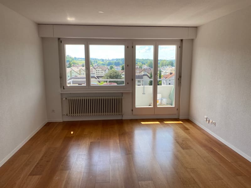 *schöne 1 1/2 -Zimmerwohnung mit Balkon mit toller Aussicht* (2)