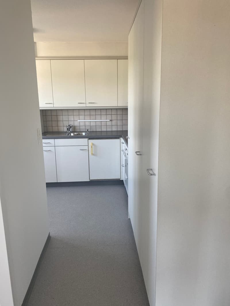 *schöne 1 1/2 -Zimmerwohnung mit Balkon mit toller Aussicht* (5)