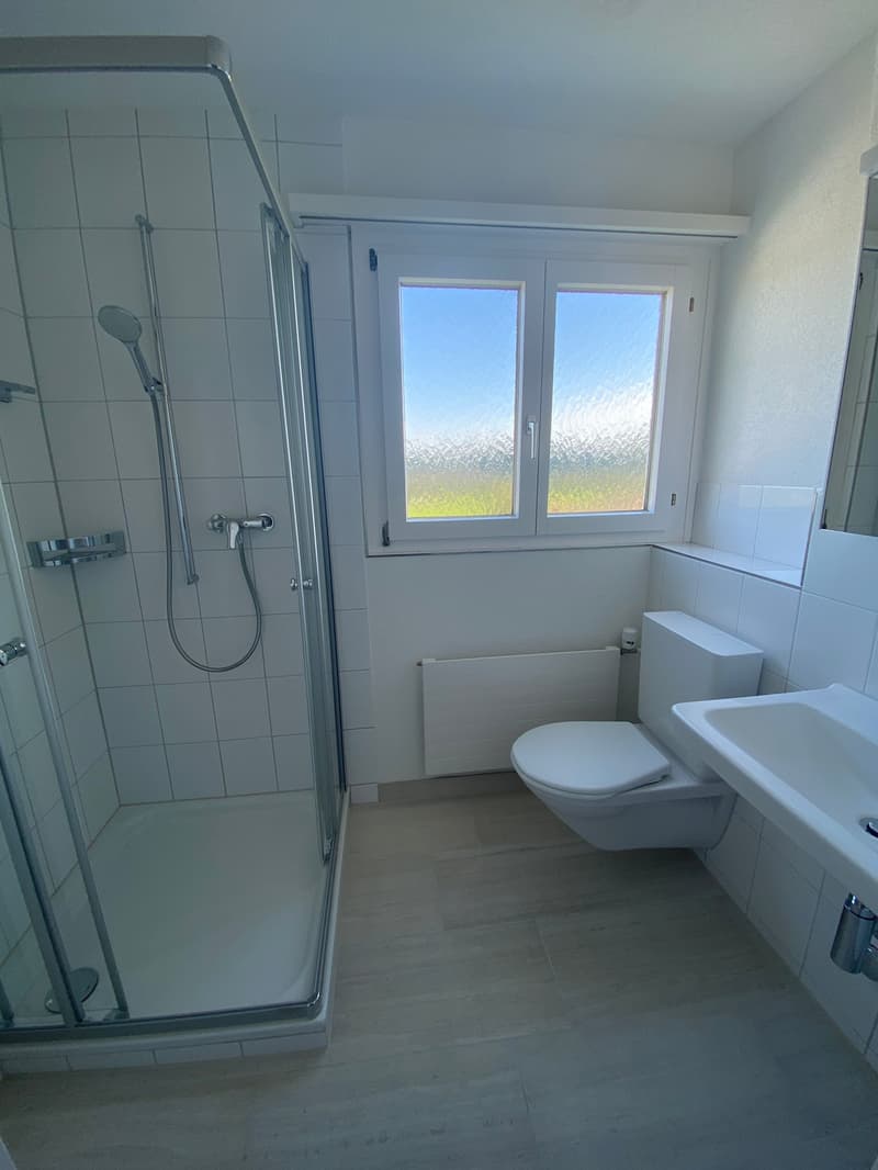 *schöne 1 1/2 -Zimmerwohnung mit Balkon mit toller Aussicht* (6)