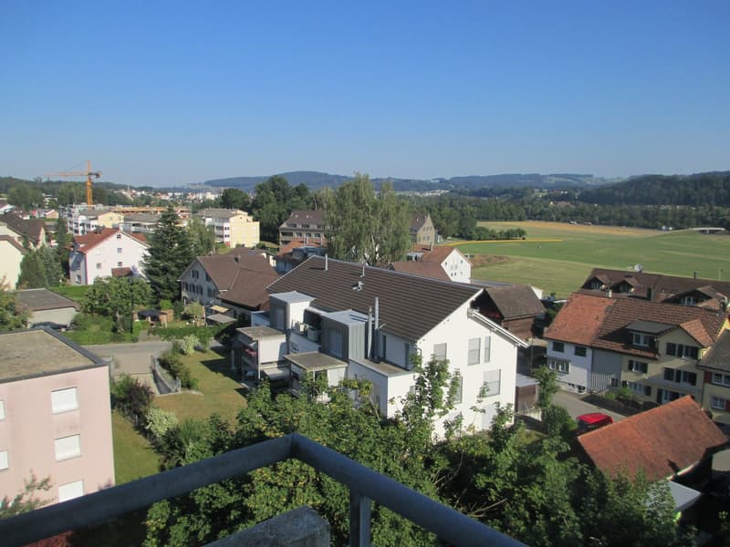 *schöne 1 1/2 -Zimmerwohnung mit Balkon mit toller Aussicht* (7)