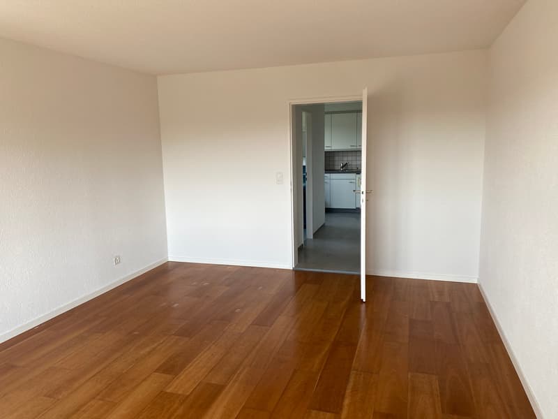 *schöne 1 1/2 -Zimmerwohnung mit Balkon mit toller Aussicht* (3)