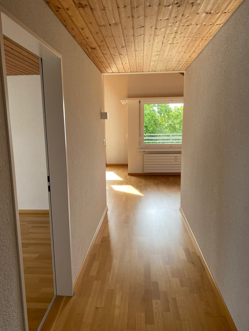 *Frisch renovierte 2.5-Zimmerwohnung im Dachgeschoss* (6)