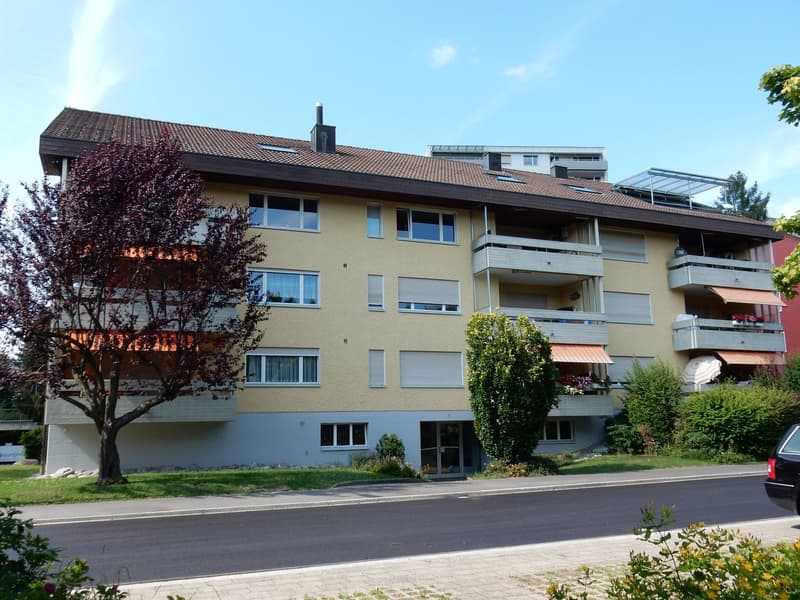 *Frisch renovierte 2.5-Zimmerwohnung im Dachgeschoss* (11)