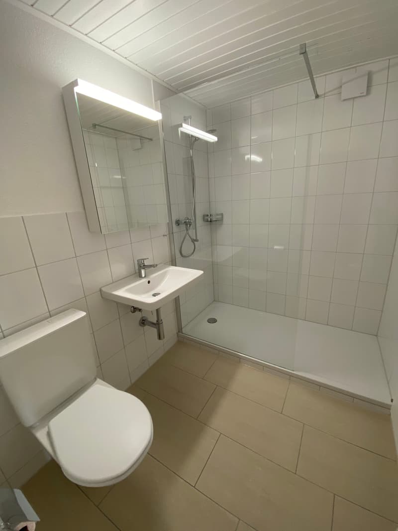 *Frisch renovierte 2.5-Zimmerwohnung im Dachgeschoss* (5)