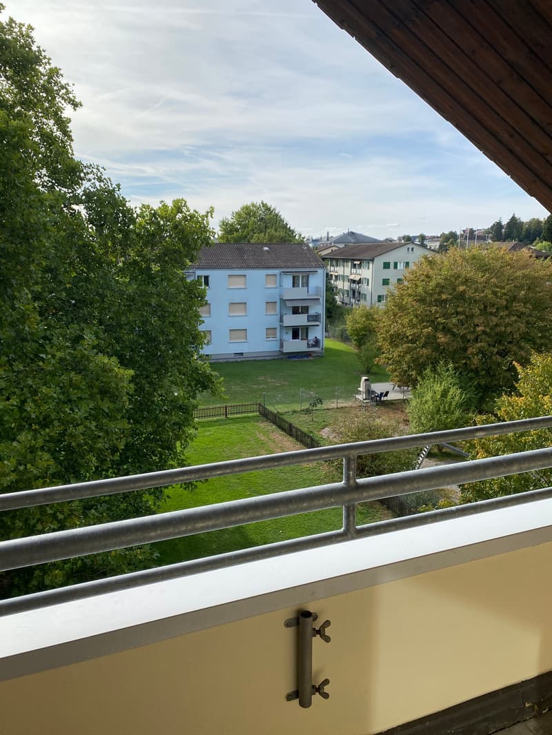 *Frisch renovierte 2.5-Zimmerwohnung im Dachgeschoss* (9)