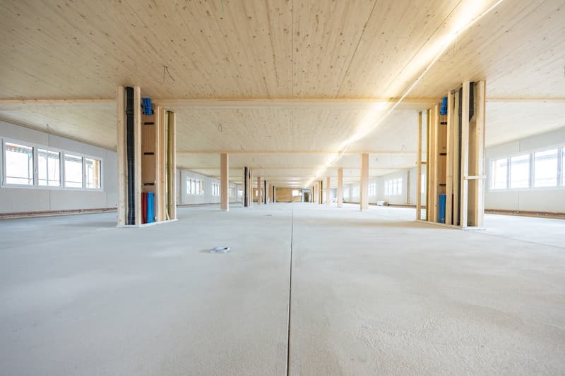 Erstvermietung: Co-Working, Büro, Atelier- und Praxis-Räumlichkeiten im modernen Geschäftshaus (1)