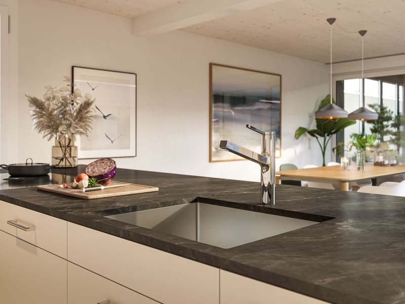 Rent-to-own possible | Atrium house - a new kind of living experience *only 6 of 20 available* (7)