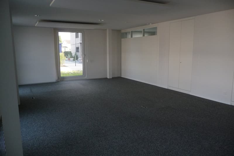 empty room, carpet, sliding glass door, white walls, glass windows