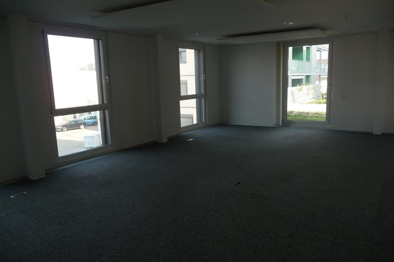 empty room, large windows, carpeted floor, sliding doors