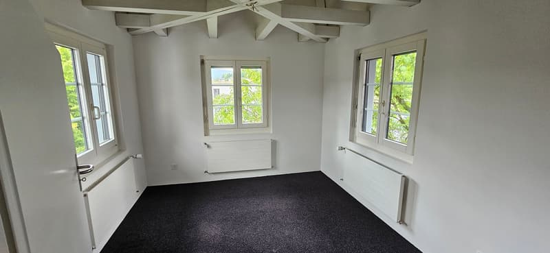 Espace commercial spacieux avec parking - situé au centre d'Aadorf (4)