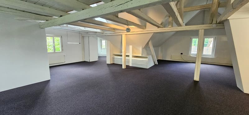 Espace commercial spacieux avec parking - situé au centre d'Aadorf (2)