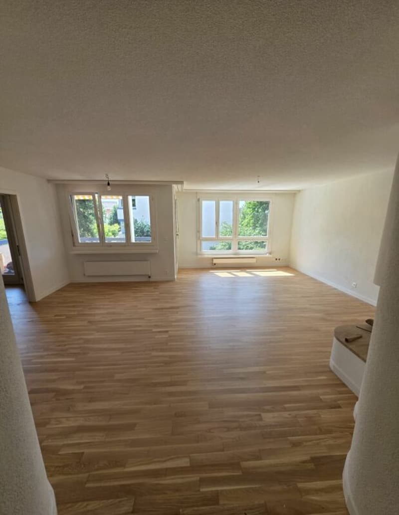 Appartamento di 3,5 locali, 91 m2 (1)
