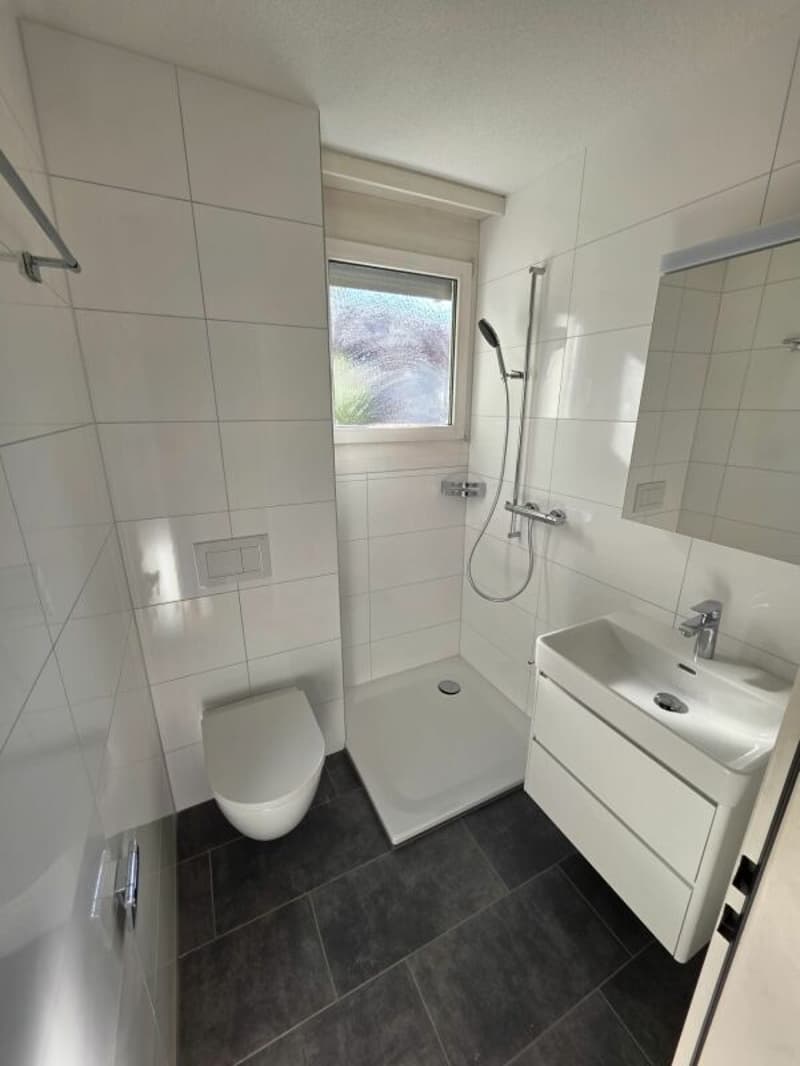 3.5 Zimmerwohnung, 91 m2 (9)