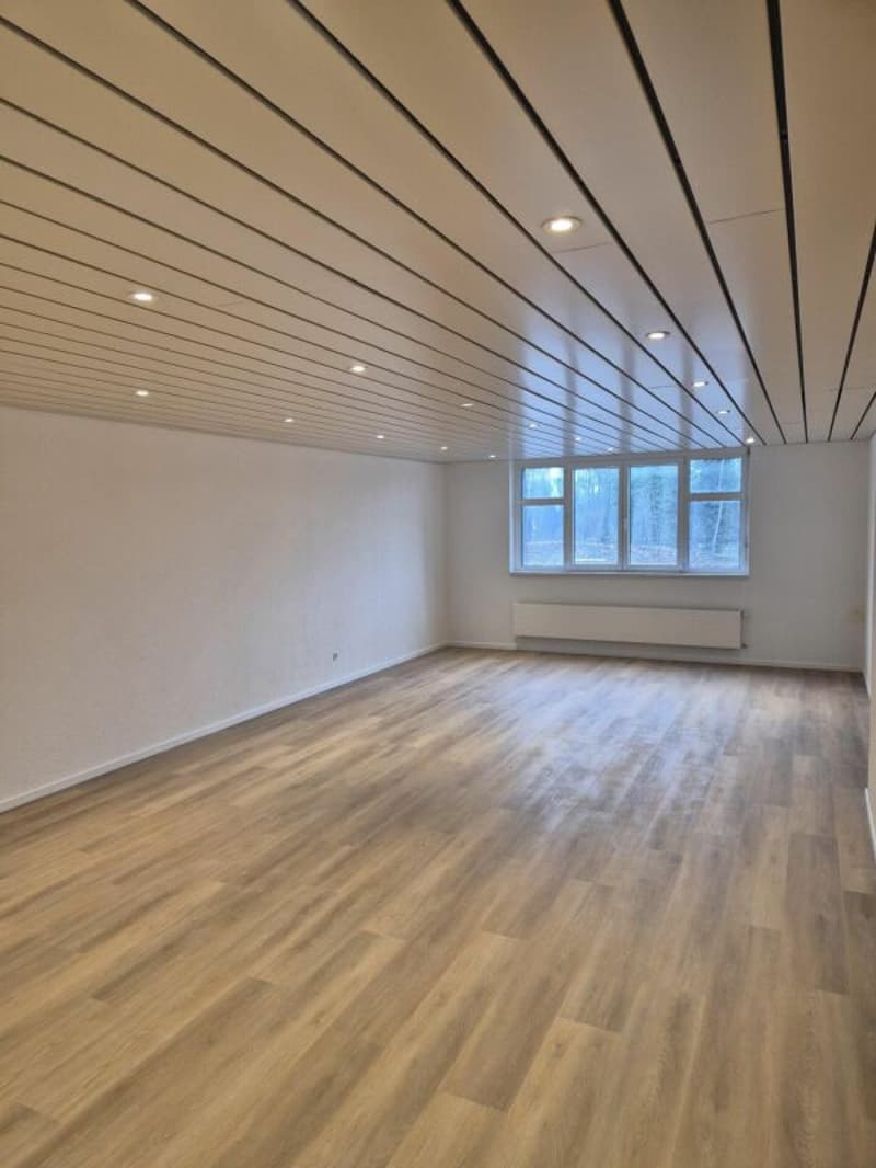 Büro 47 m2