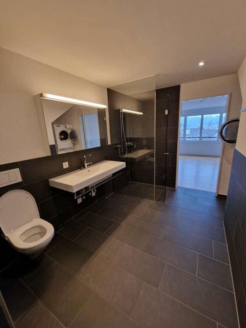 2.5 Zimmer Wohnung 67 m² (3)