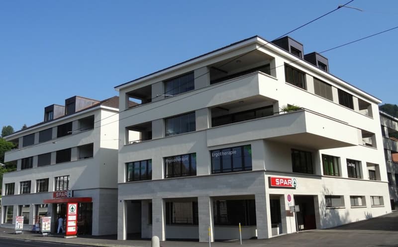 3.5 Room Apartment No. 207 (1)