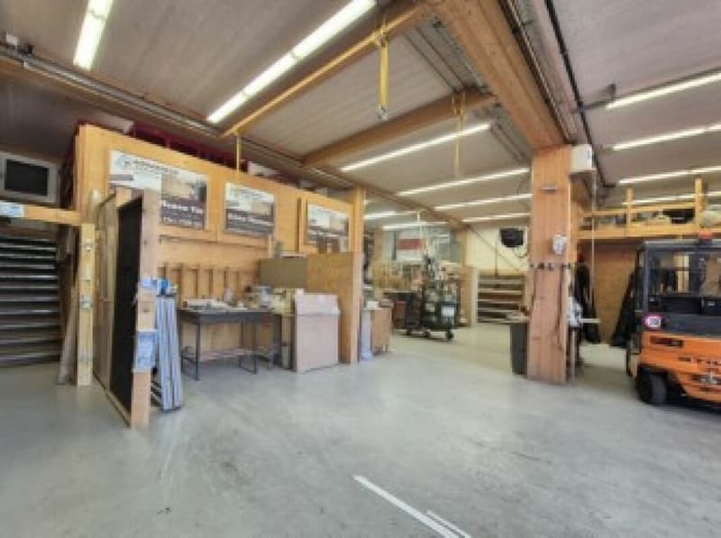 Halle/Werkstatt EG, 233m2 (4)