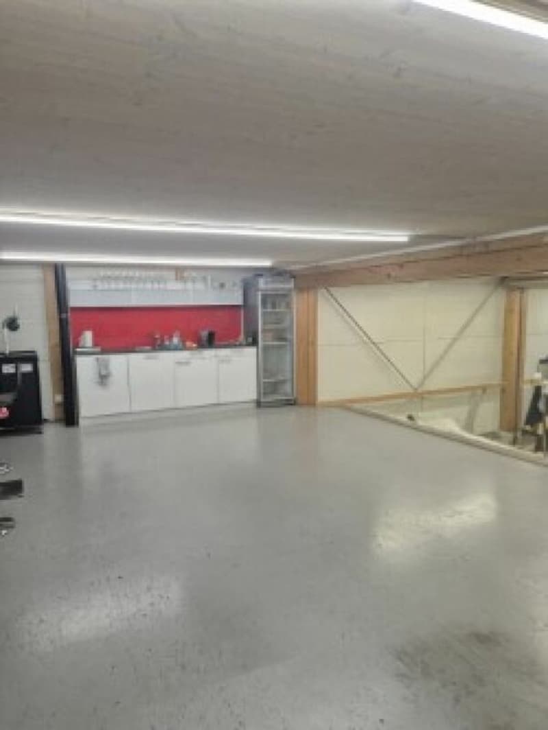 Halle/Werkstatt EG, 233m2 (5)