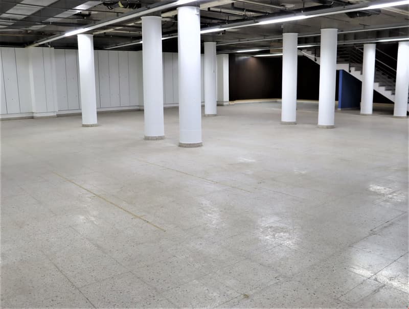 Large open space with concrete flooring, white support columns, and overhead lighting. The space appears to be an empty warehouse or industrial facility.