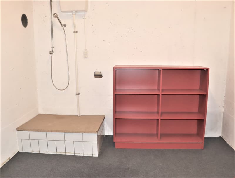 The image shows a bathroom with a shower stall and a red shelving unit. The floor is covered in a dark carpet, and the walls are plain white. The shower stall has a metal showerhead and hose attached to the wall.