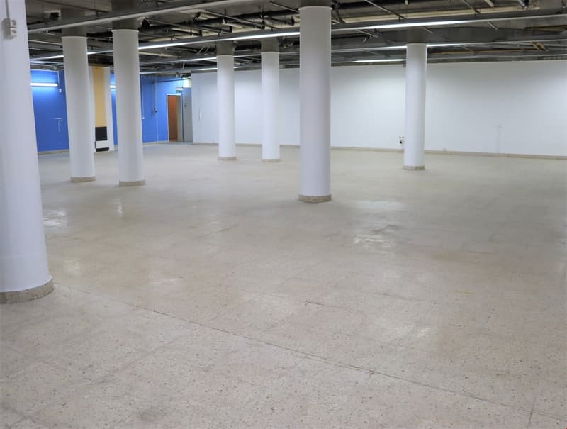 The image shows a large, open commercial space with a concrete floor and white columns supporting the ceiling. The space appears to be unfinished or under renovation, with no visible furniture or decor. The walls are also white, and there is a blue door v