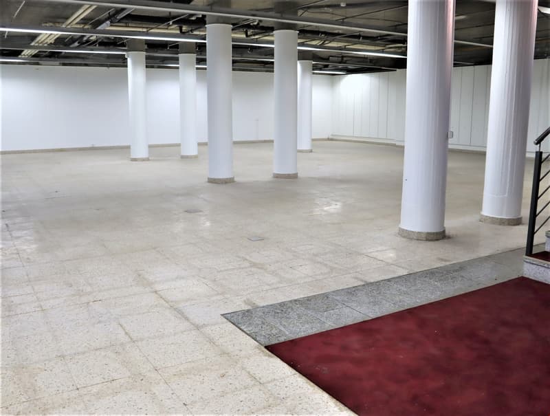 Large open commercial space with concrete flooring, white walls, and several white support columns. There is a red carpet in the center of the room.