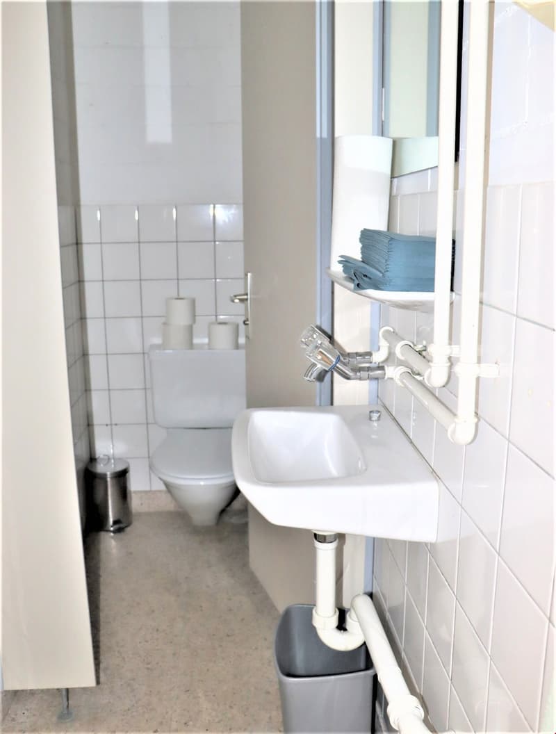 Tiled bathroom with white walls, toilet, sink, and storage shelves. There is a private washing machine visible in the image.