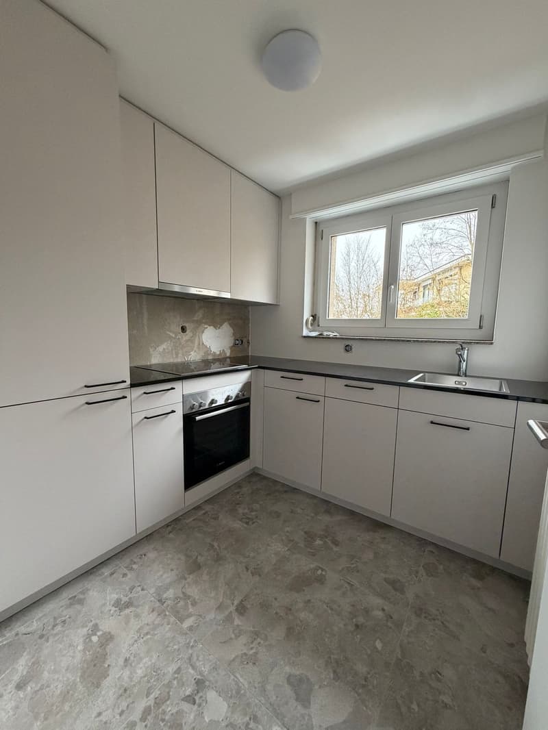 Apartment building in Steckborn – 12 apartments, fully renovated with attractive returns (11)