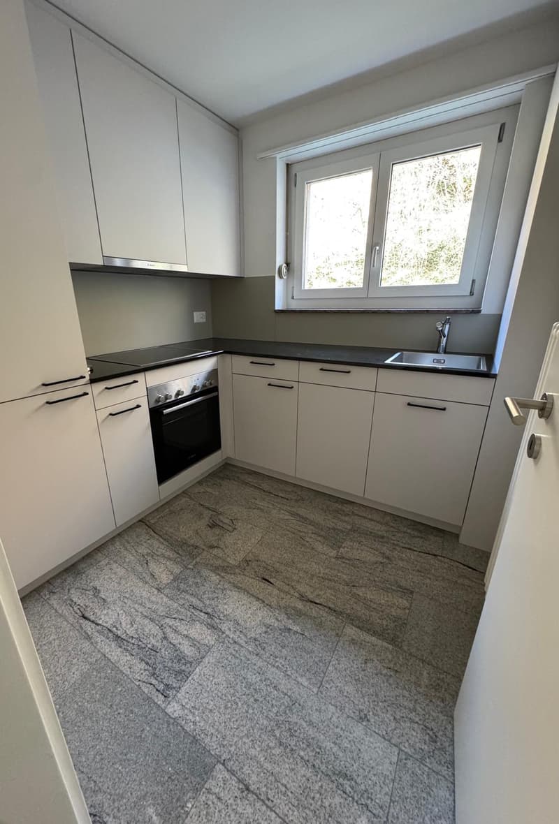 Apartment building in Steckborn – 12 apartments, fully renovated with attractive returns (15)