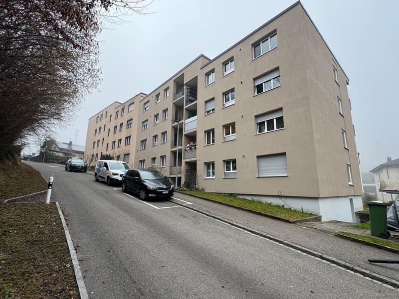 Apartment building in Steckborn – 12 apartments, fully renovated with attractive returns (1)