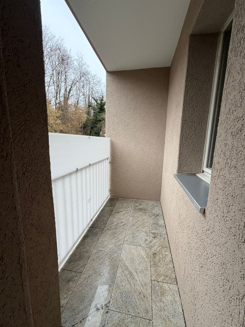 Apartment building in Steckborn – 12 apartments, fully renovated with attractive returns (14)