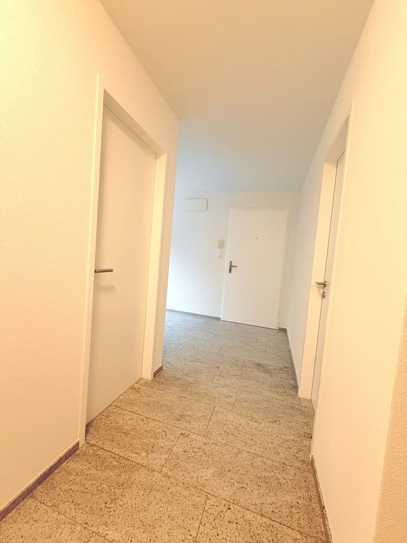 Apartment building in Steckborn – 12 apartments, fully renovated with attractive returns (8)