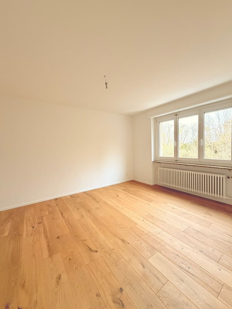 Apartment building in Steckborn – 12 apartments, fully renovated with attractive returns (2)