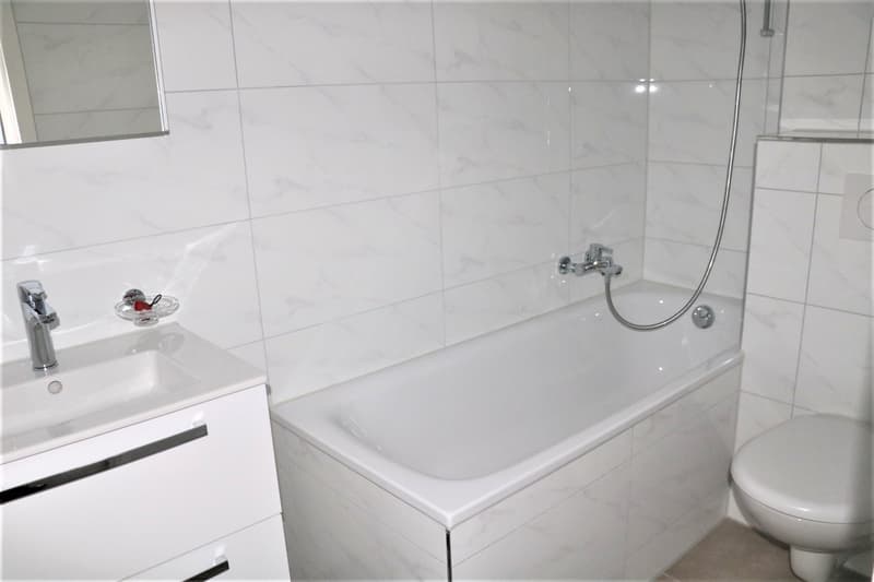 moderne, helle 3.5 Zi.-Wohnung - ideal auch für Studenten (3)