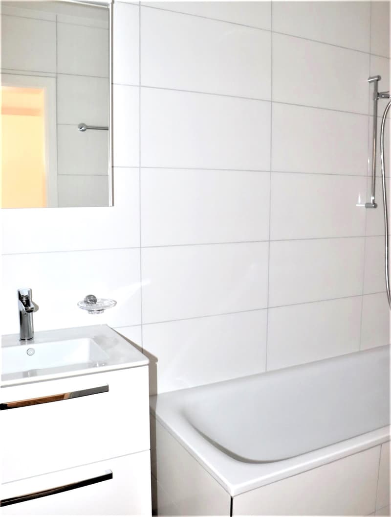 Bright, modern 1-room apartment with balcony (4)