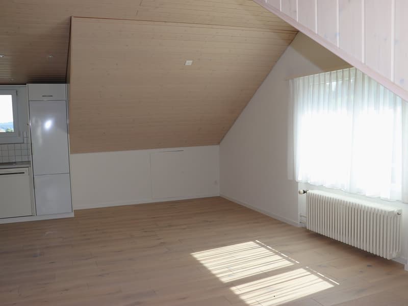 Original 3.5 room attic apartment with balcony (4)