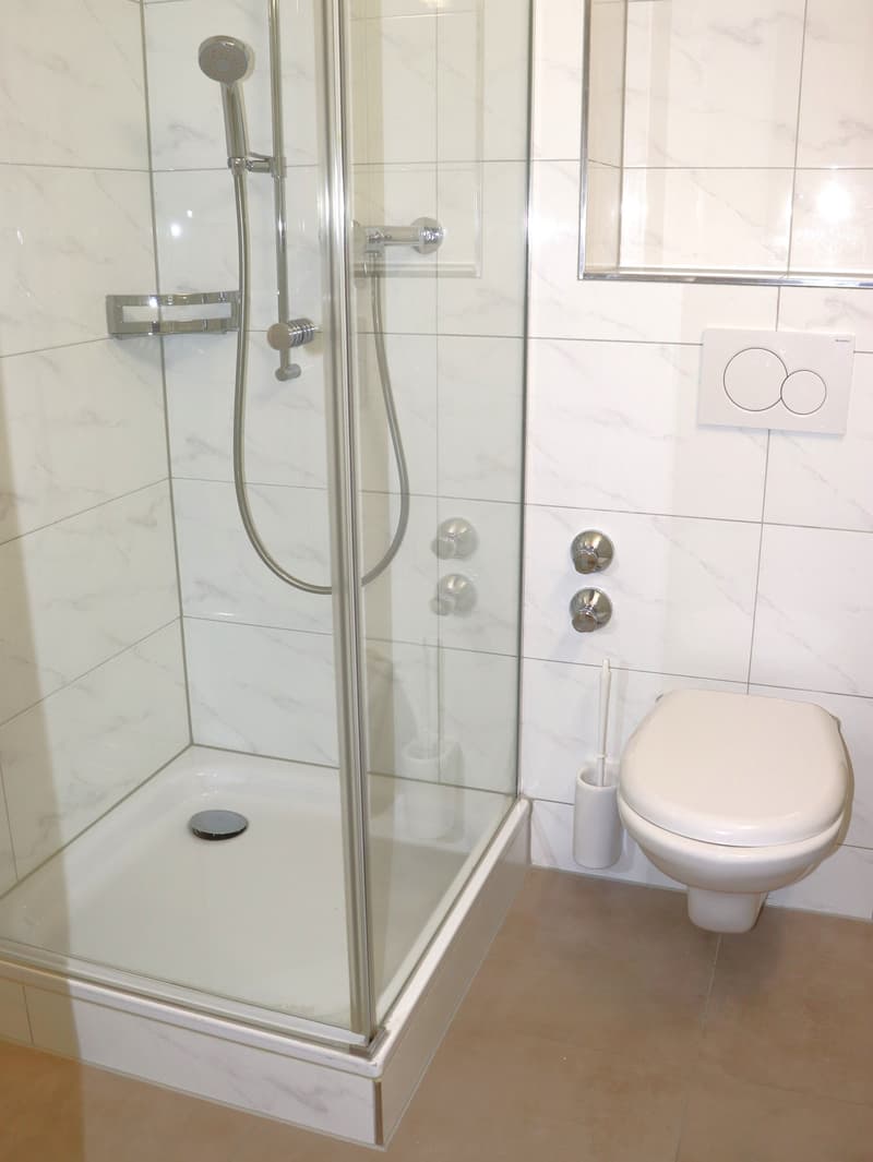 neu sanierte, grosszügige 2.5 Zi.-Wohnung - Erstbezug (4)