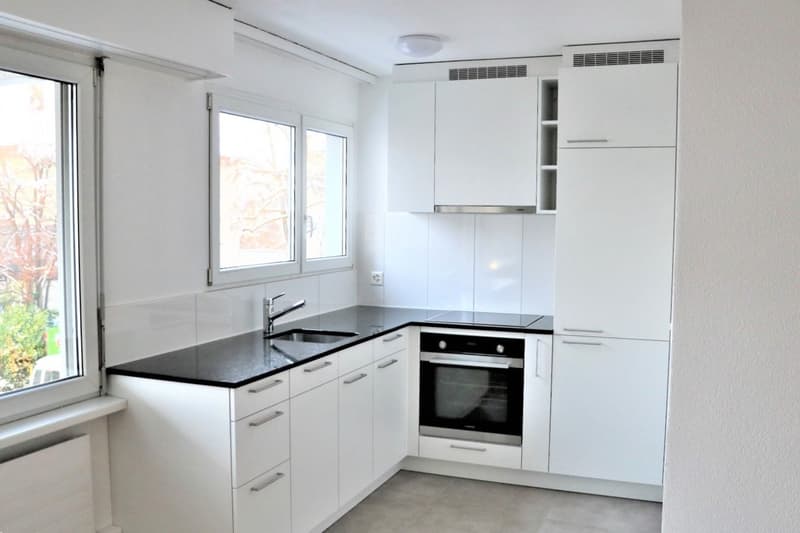 neu sanierte, grosszügige 2.5 Zi.-Wohnung - Erstbezug (2)