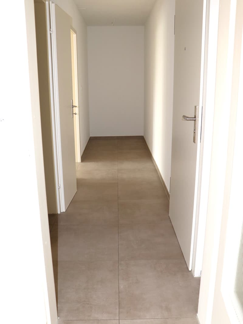 neu sanierte, grosszügige 2.5 Zi.-Wohnung - Erstbezug (7)