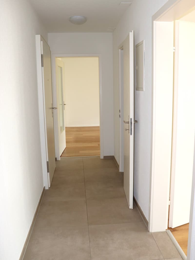 neu sanierte, grosszügige 2.5 Zi.-Wohnung - Erstbezug (6)