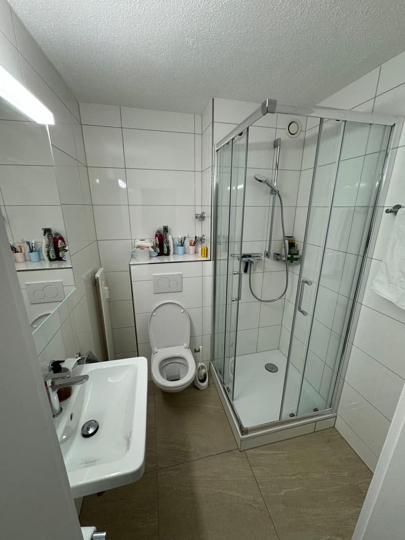 moderne 2.5 Zi.-Wohnung mit Balkon (6)