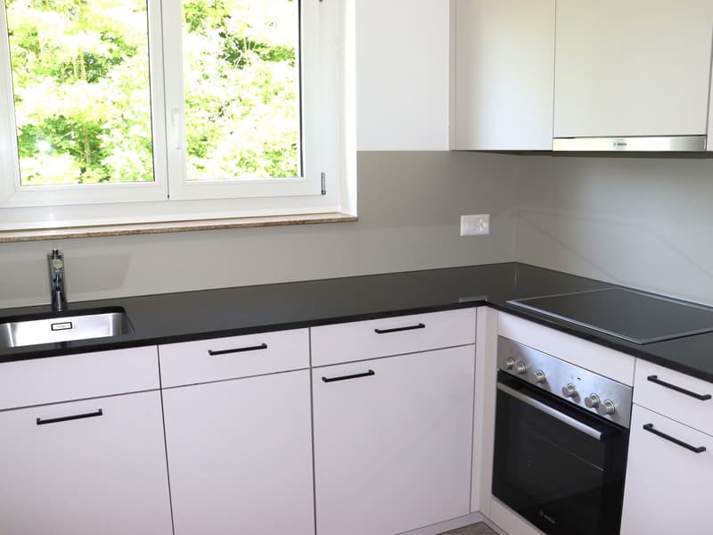 Erstvermietung nach Totalsanierung - grosszügige 3.5 Zi.-Wohnungen mit Balkon (2)