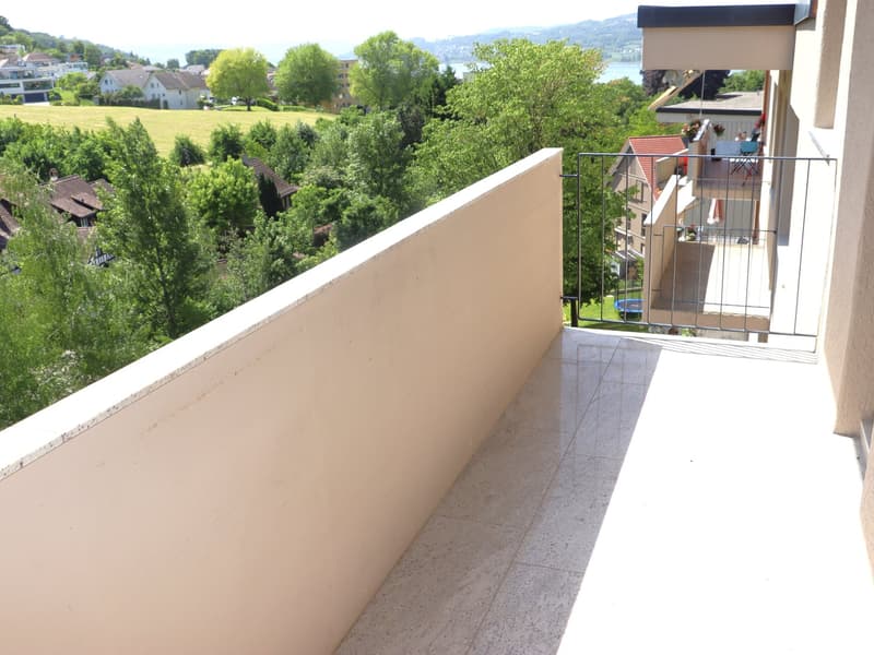Erstvermietung nach Totalsanierung - grosszügige 3.5 Zi.-Wohnungen mit Balkon (11)