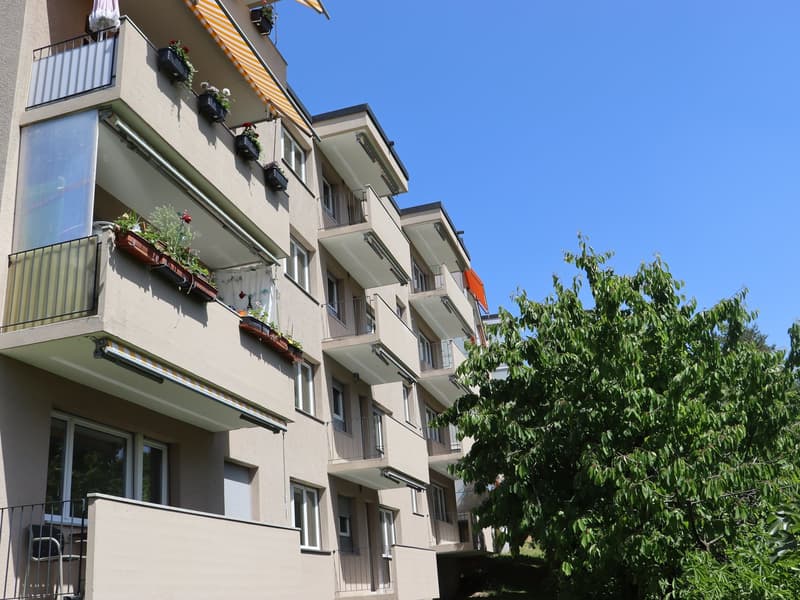 Erstvermietung nach Totalsanierung - grosszügige 3.5 Zi.-Wohnungen mit Balkon (1)