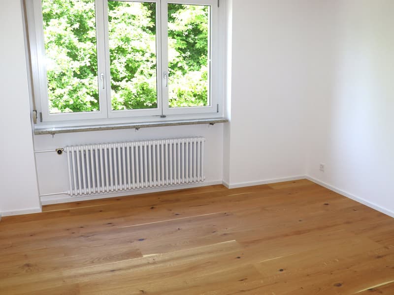Erstvermietung nach Totalsanierung - grosszügige 3.5 Zi.-Wohnungen mit Balkon (9)